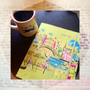 Thank you forever Allie. I love you. 